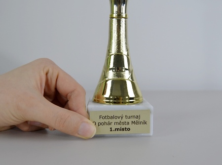 Sportovní pohár Brandon