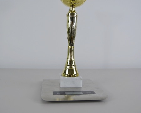 Sportovní pohár Brandon